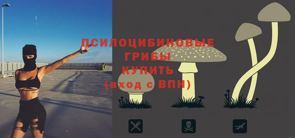Альфа ПВП Алексин